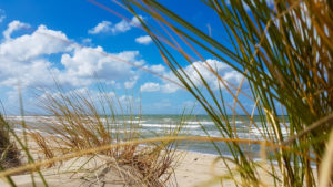 Dune landscape in Holland with a view of the sea Dune landscape in Holland with a view of the sea